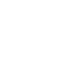 mtz-sm